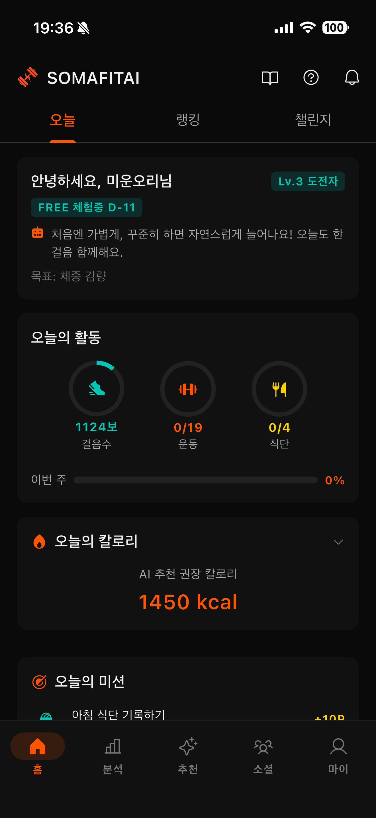 미드나이트
